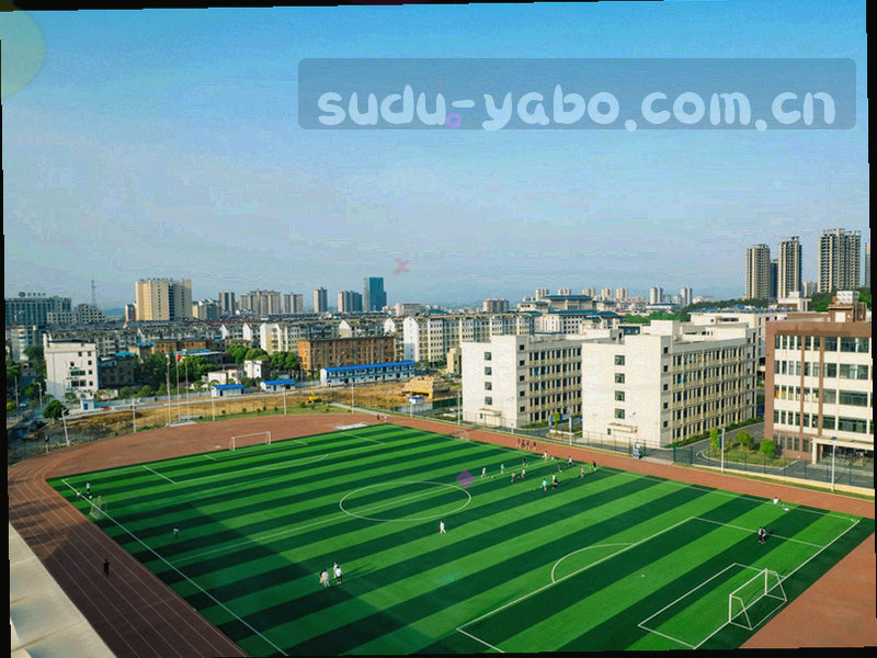 数据文件从屏幕滑出，背景为五大联赛数据表